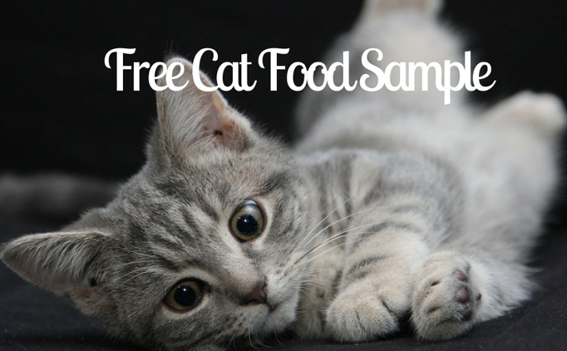 SampleThat post template cat food