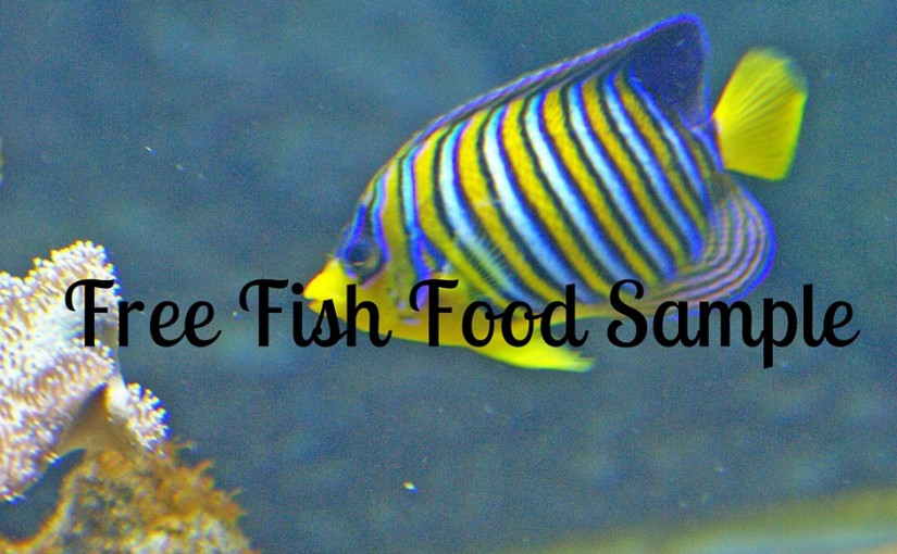 SampleThat post template fish food