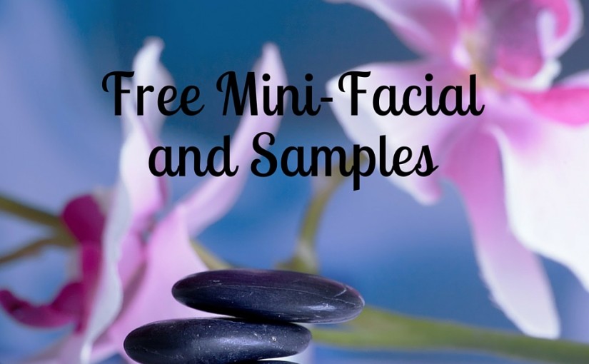 SampleThat post template mini facial