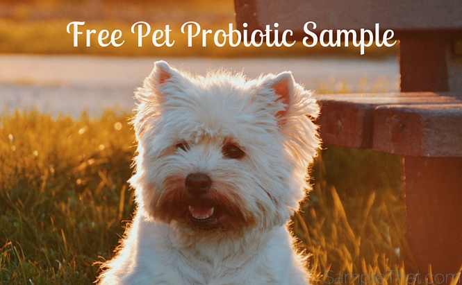 free pet probiotic sample synacore synbiotic prebiotic dog cat health samples samplethat