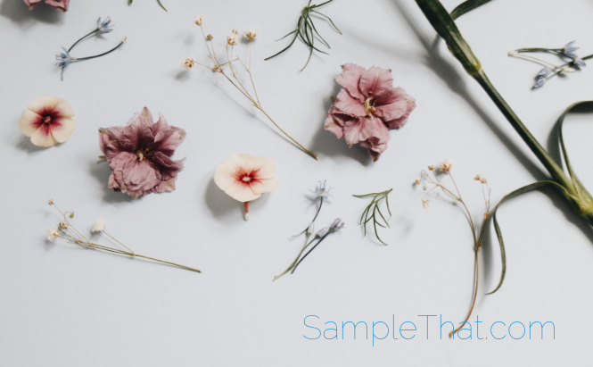 [Original size] SampleThat post template (30)