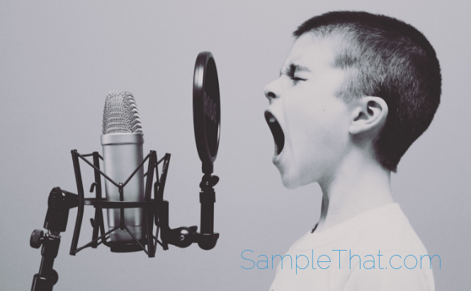 [Original size] SampleThat post template (72)