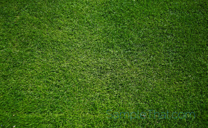 Free Sample of Artificial Grass